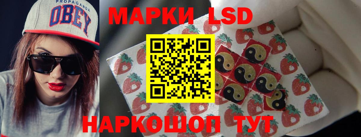 LSD-25 экстази кислота Курчалой
