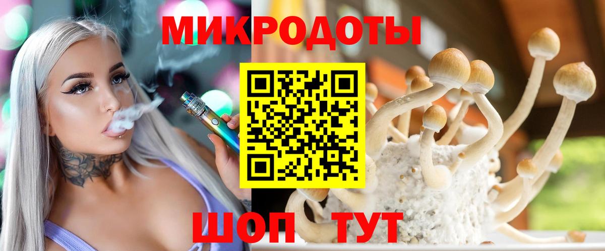 Псилоцибиновые грибы прущие грибы  Галлюциногенные грибы GOLDEN TEACHER  Вход с VPN  где можно купить наркотик  Курчалой 